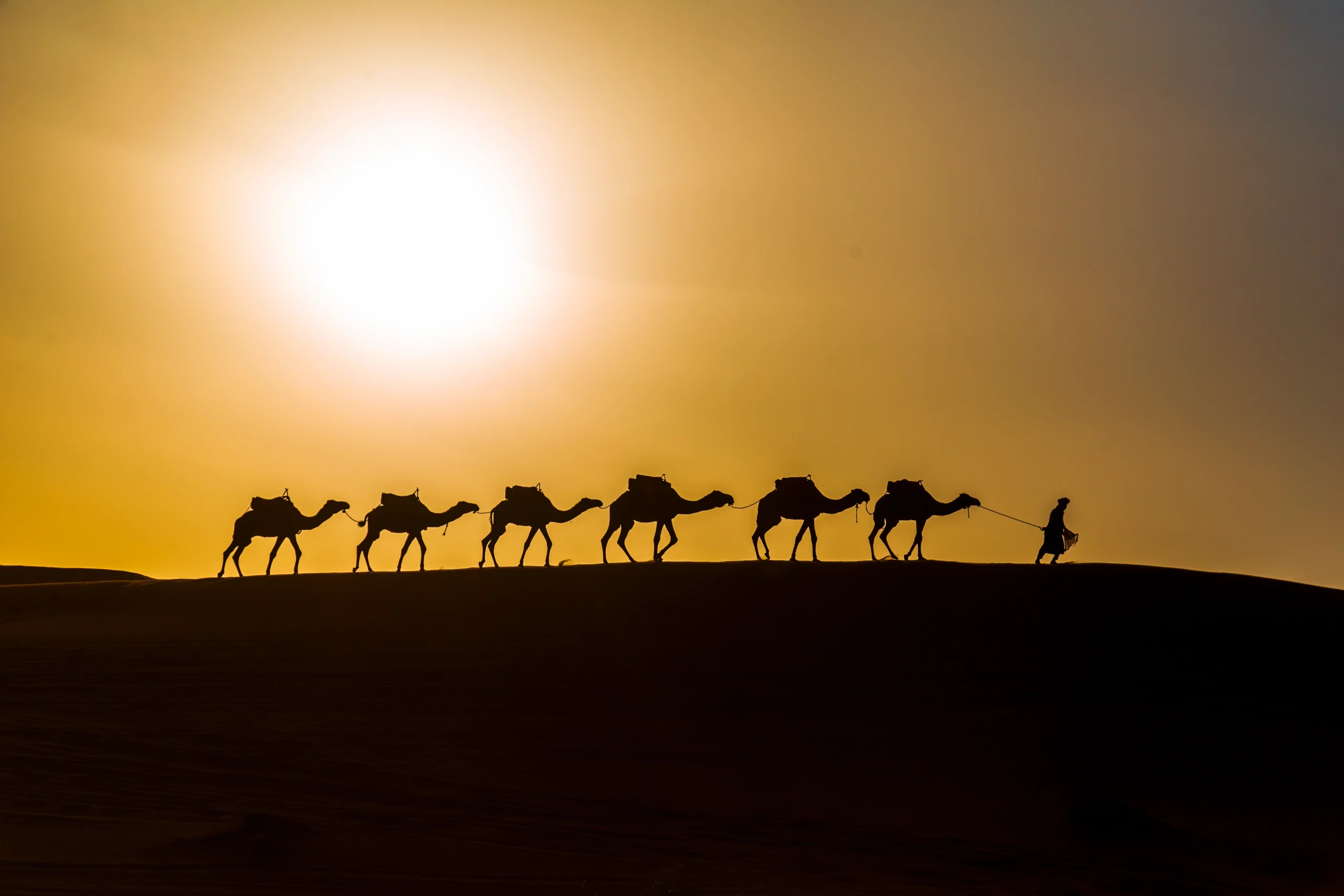 Desert Gate Tours – Discover the Soul of Morocco
