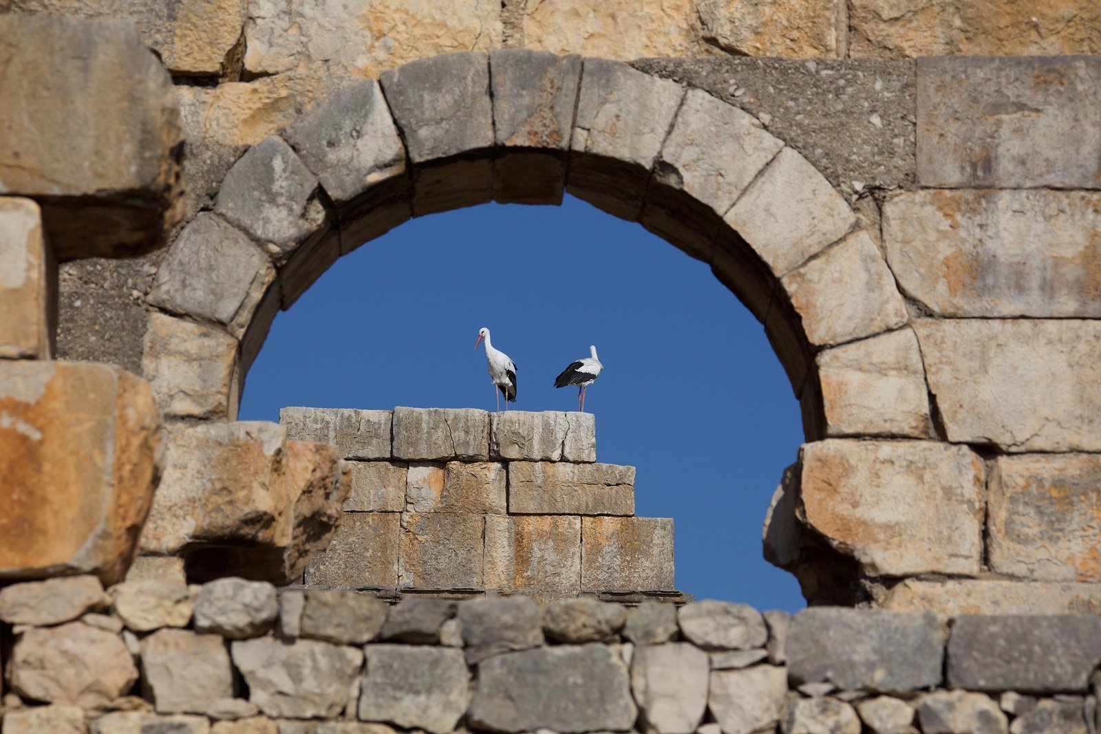 10 days Grand tour from fes to tangier