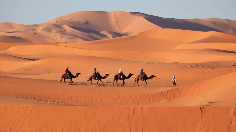 Desert