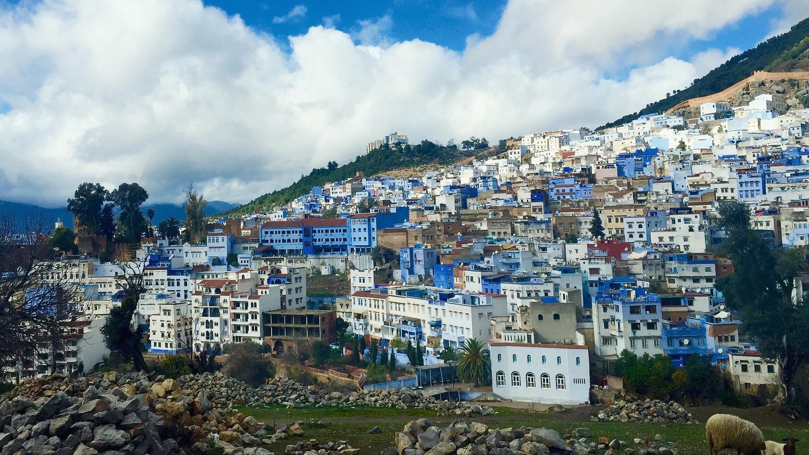1 Day trip from Fes to Chefchaouen