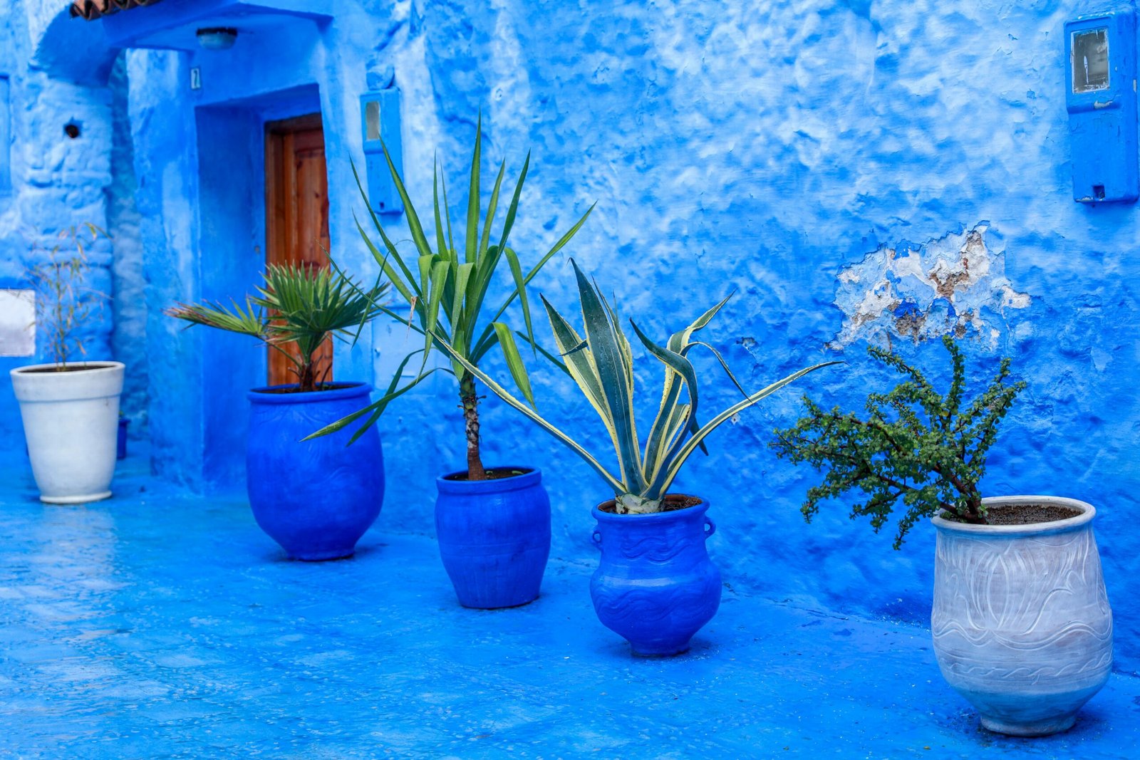 Rigel Irhsqi8ptas Unsplash